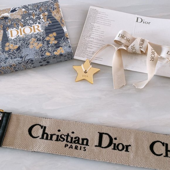 Dior Женский ремень 6.5см. RE_1005DI5 Dior Женский ремень 6.5см. RE_1005DI5