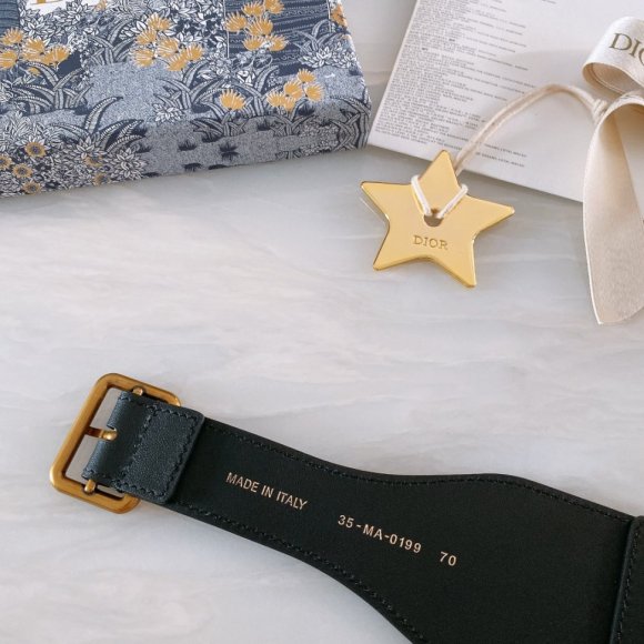 Dior Женский ремень 6.5см. RE_1005DI5 Dior Женский ремень 6.5см. RE_1005DI5