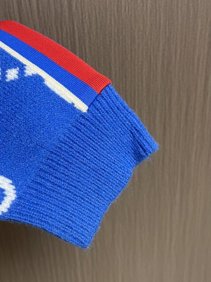 Gucci Cruise Aprés Ski - Мужская кофта худи DZ_1701GU9 Gucci Cruise Aprés Ski - Мужская кофта худи DZ_1701GU9