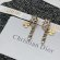 Dior серьги OR_1412DI3