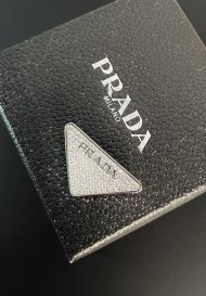 Prada Брошь OR_1609SL6 Prada Брошь OR_1609SL6