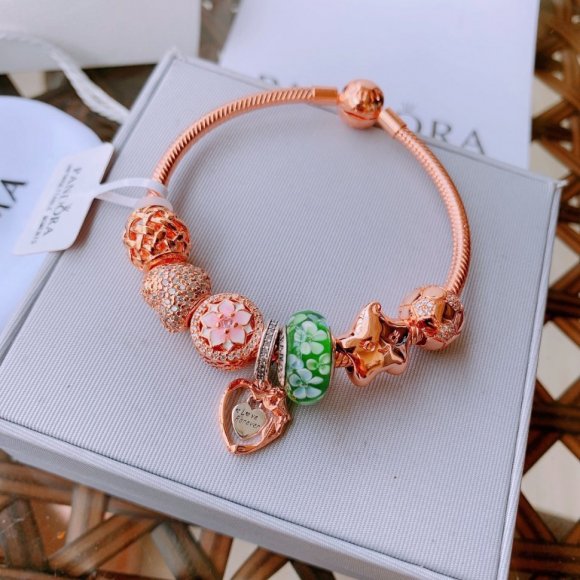 Pandora Браслет OR_1202PN6