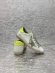 Golden Goose Женские кеды кроссовки GG_1309GG4W