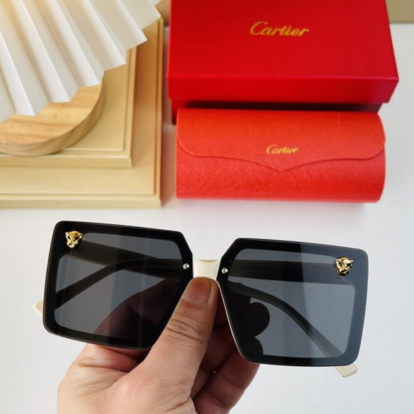 Cartier очки K2_0902CA2