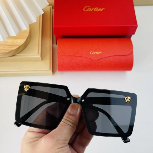 Cartier очки K2_0902CA2