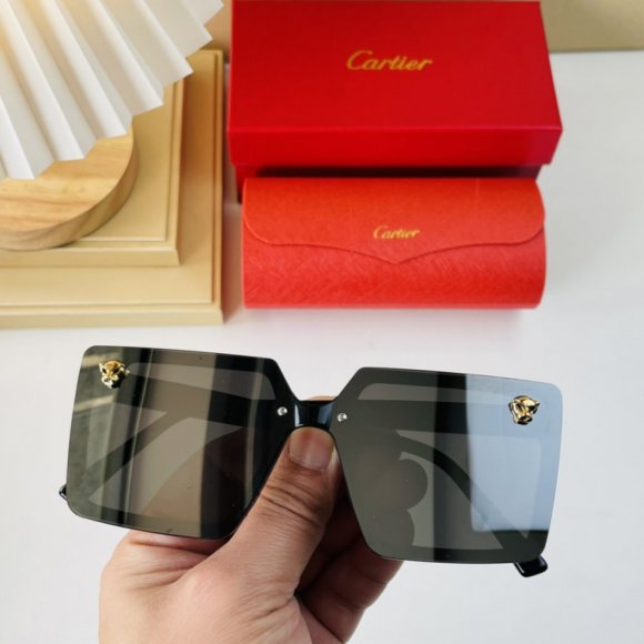 Cartier очки K2_0902CA2