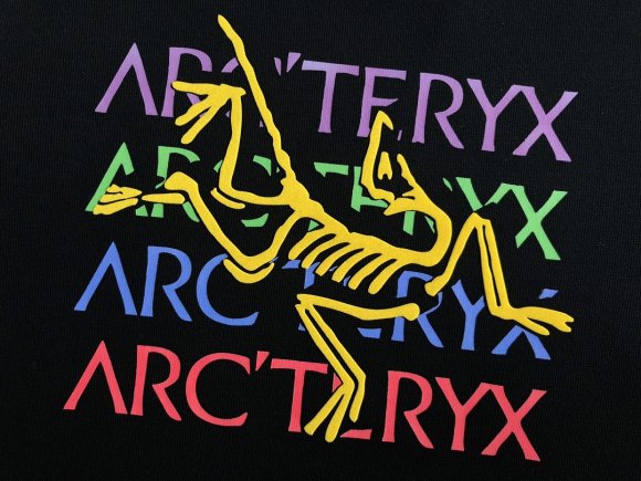 Arcteryx - Мужская кофта худи толстовка DF_0711AR8