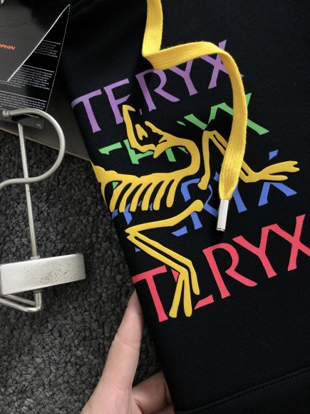 Arcteryx - Мужская кофта худи толстовка DF_0711AR8