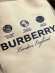 Burberry - Мужская куртка ветровка DZ_2509BU2