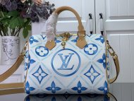 Louis Vuitton Speedy 25 - Сумка бокс LG_2108LV10 Louis Vuitton Speedy 25 - Сумка бокс LG_2108LV10