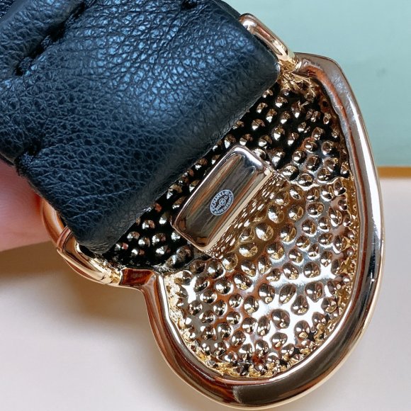 Chanel Женский ремень 2.5см RE_2009CH3 Chanel Женский ремень 2.5см RE_2009CH3