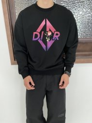 Dior - Мужская кофта свитшот LE_2611DI2