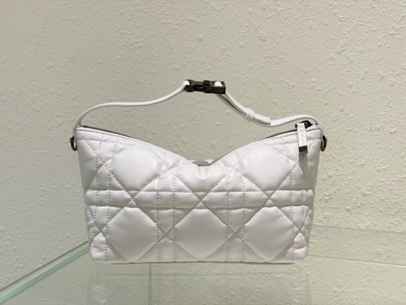 Dior Travel Nomad Сумка DG_1205DI1