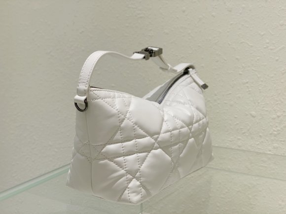 Dior Travel Nomad Сумка DG_1205DI1