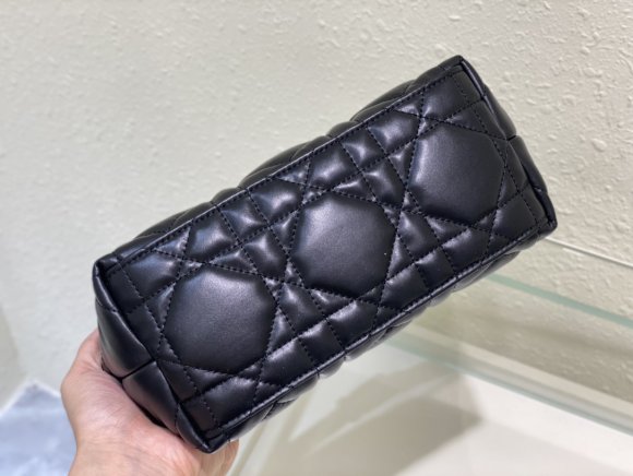 Dior Travel Nomad Сумка DG_1205DI1