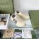 Gucci Rhyton Женские кроссовки MO_1509GU1W