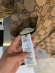 Gucci - Мужская двусторонняя куртка ветровка AH_2909GU1
