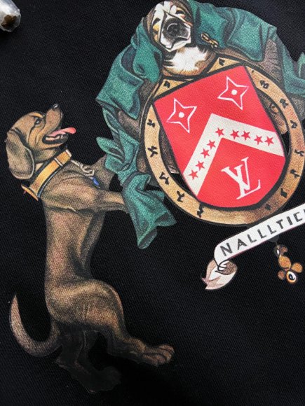 Louis Vuitton - Мужская кофта худи DZ_1712LV10