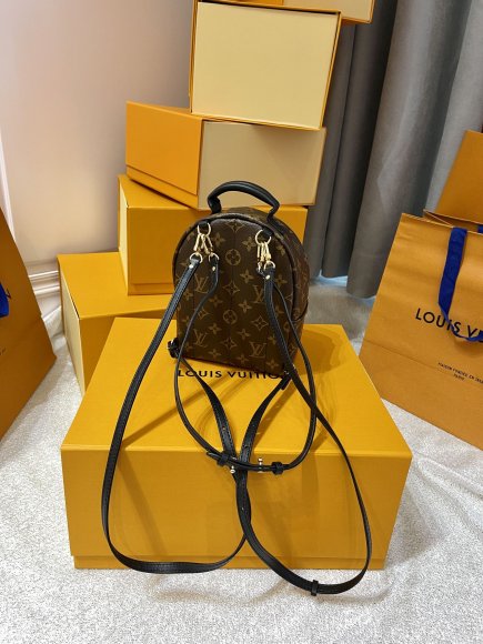 Louis Vuitton Palm Springs Женская сумка - рюкзак LL_0302LV1