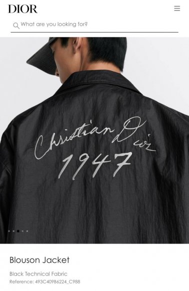 Dior - Мужская куртка ветровка TI_3007DI3 Dior - Мужская куртка ветровка TI_3007DI3