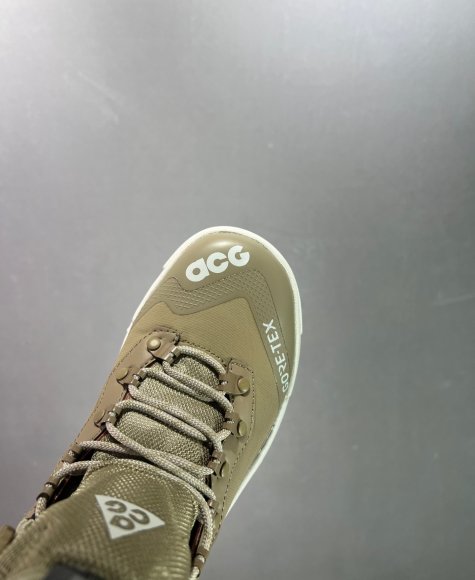 Nike ACG Air Zoom Gaiadome - Женские ботинки кроссовки ZO_1601NI1W Nike ACG Air Zoom Gaiadome - Женские ботинки кроссовки ZO_1601NI1W