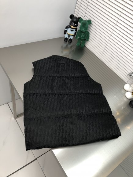 Dior - Мужской жилет пуховик DZ_0512DI4